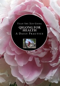 Qigong for Health Training DVD Beginner's Qigong