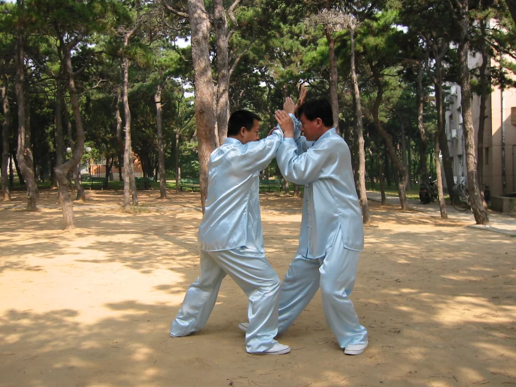 Feng Laoshur Push Hands Beidaihe
